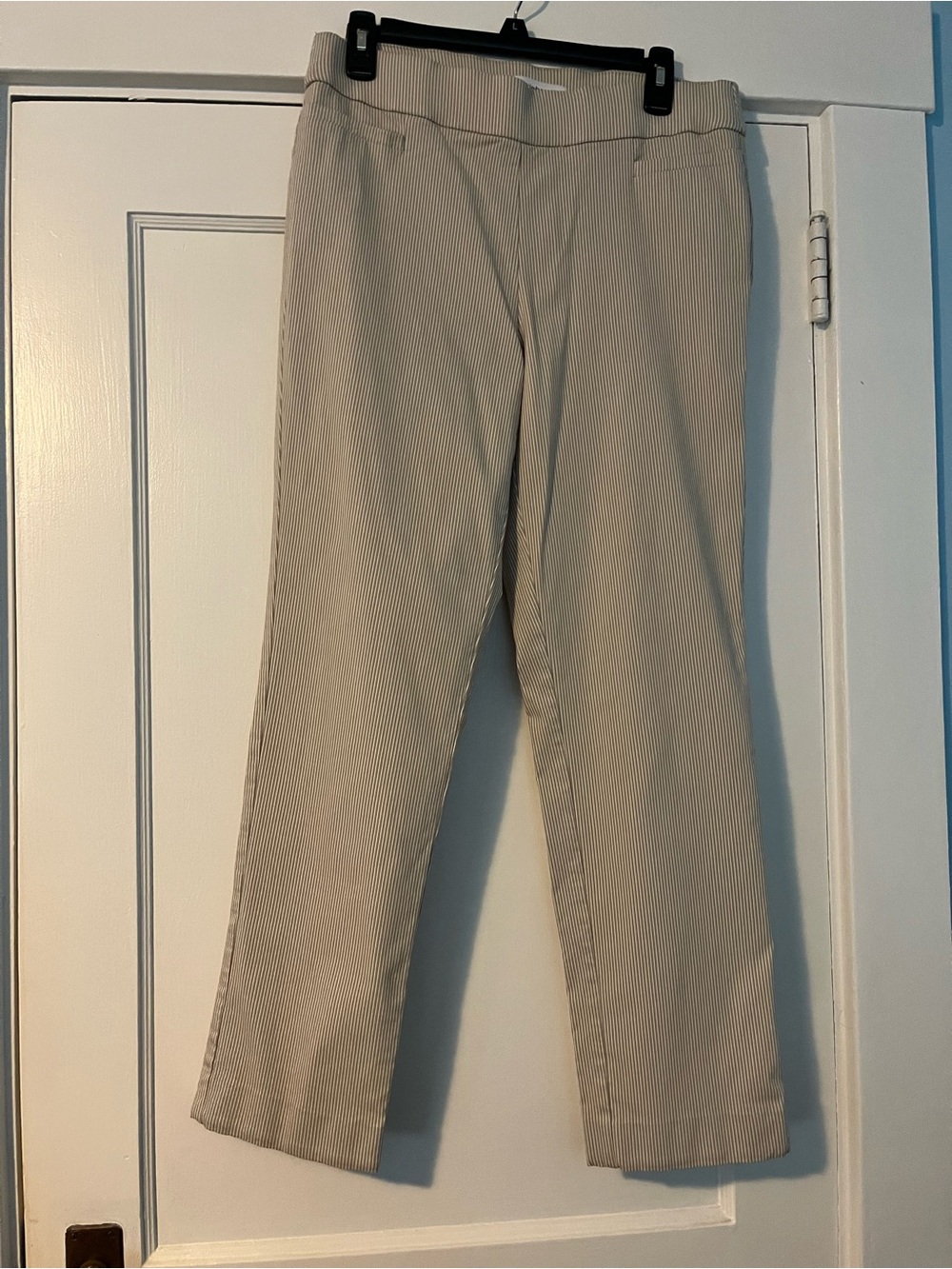 Classic Women’s Beige Pinstripe Pants